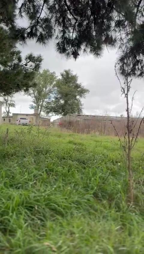 En Venta 1.6 Has con Arboleda en Tandil 2
