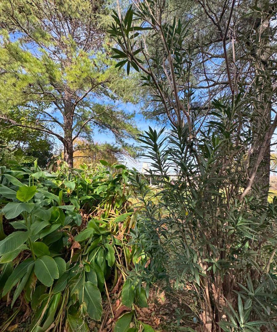 Foto de Casa Quinta en Tres Sargentos - frente a la Estación, imagen 4