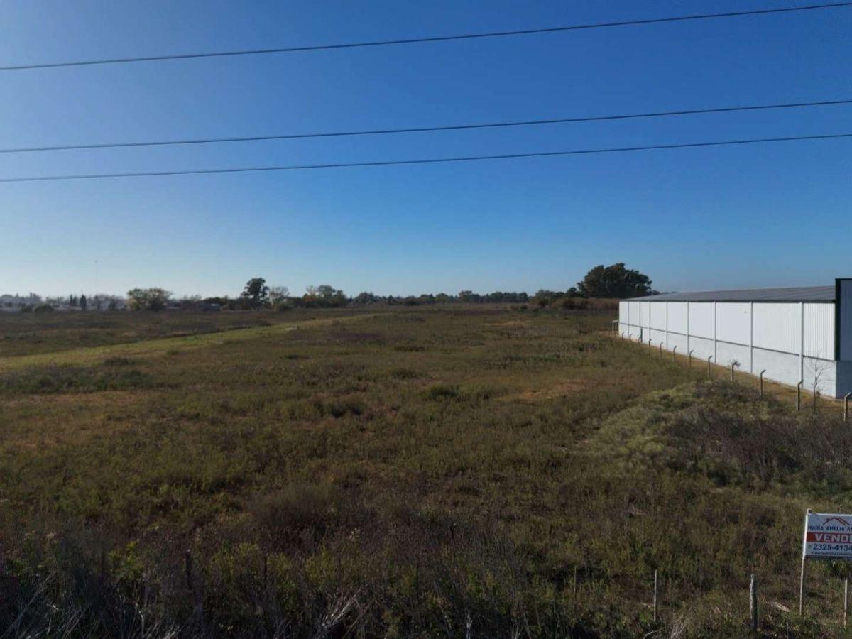 Foto de Parcela Comercial 6000 mts, imagen 5