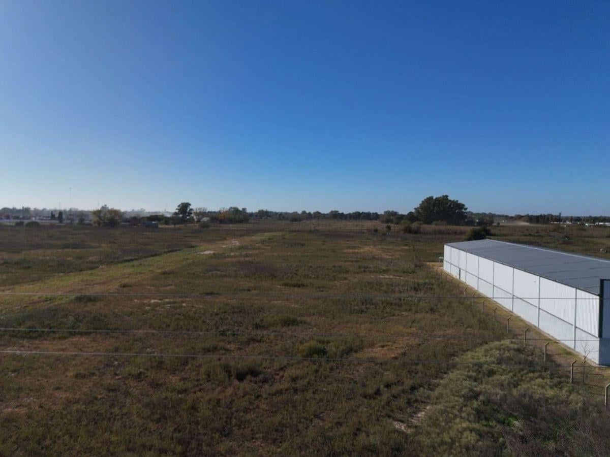 Foto de Parcela Comercial 6000 mts, imagen 3