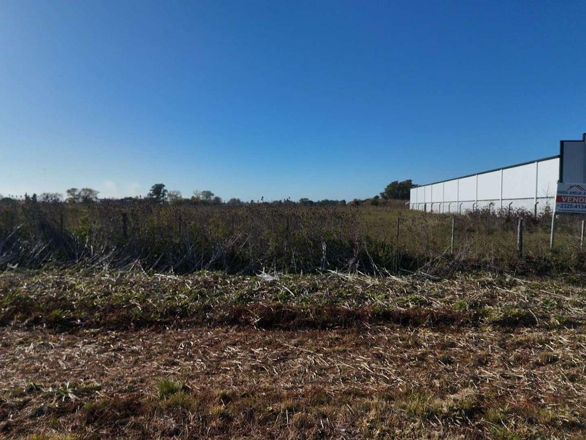 Foto de Parcela Comercial 6000 mts, imagen 1