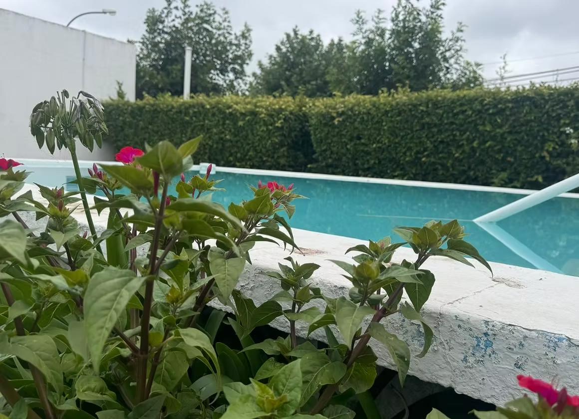 Foto de Quinta en el pueblo de Rawson, imagen 2