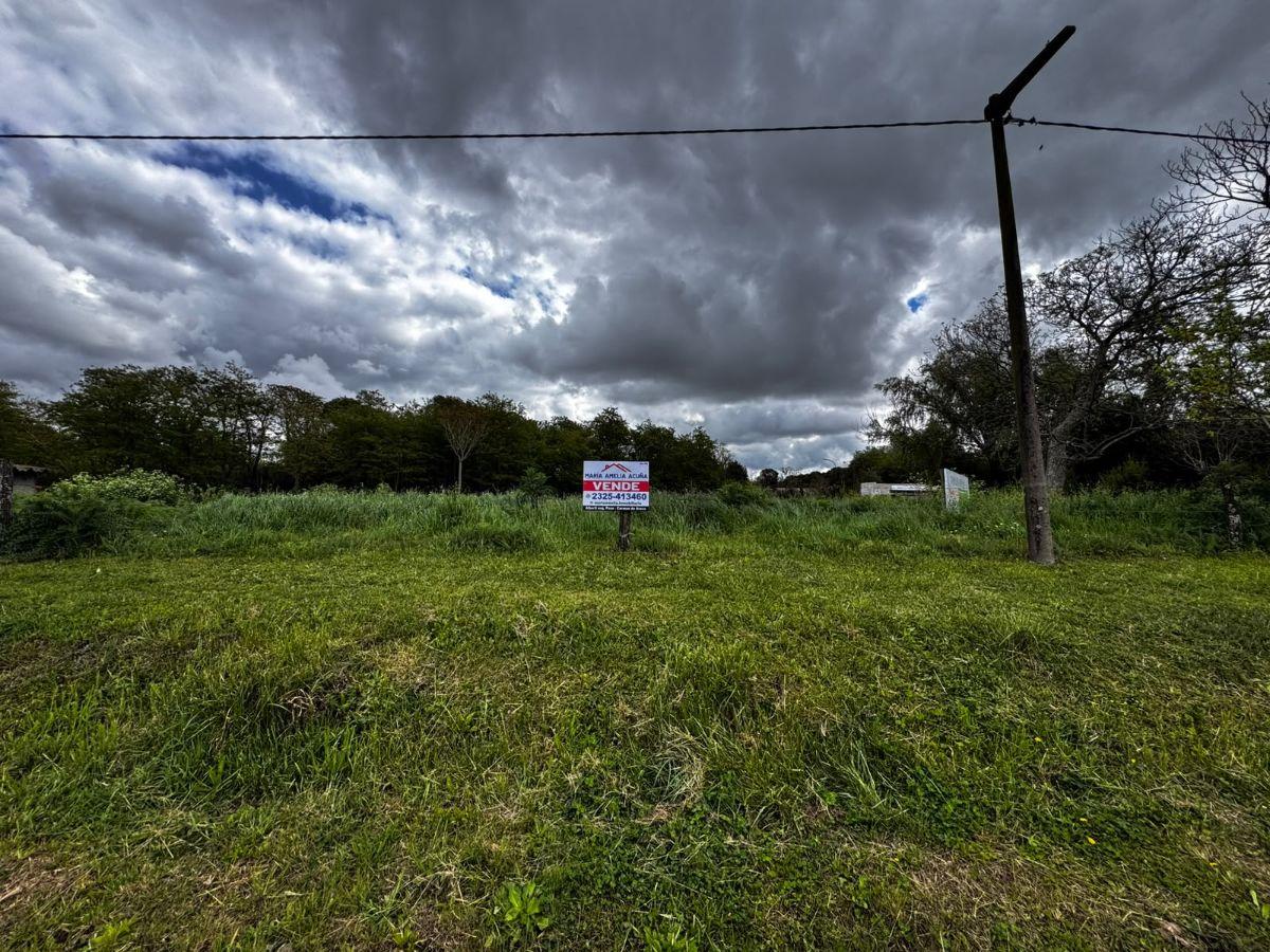 Foto de Lote en venta en Castilla, partido de Chacabuco, imagen 4