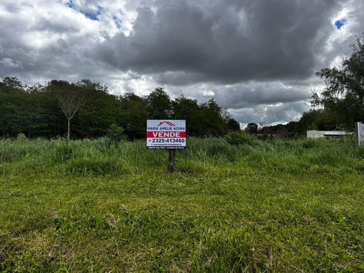 Foto de Lote en venta en Castilla, partido de Chacabuco, imagen 5