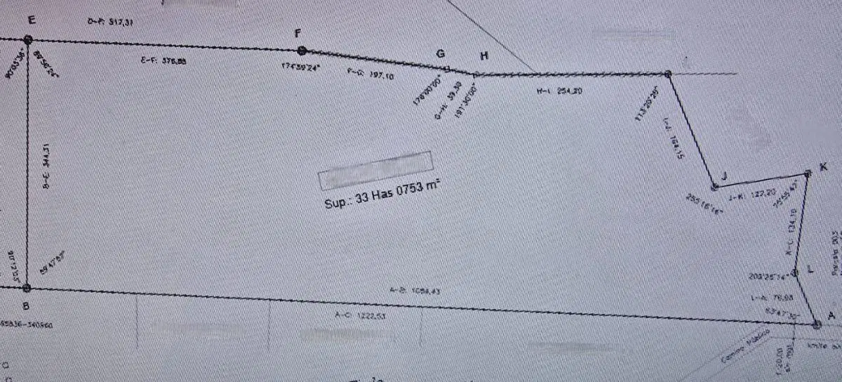 Fracción 33 hectáreas con 13ha. de Robles y pinos Eliotis 4