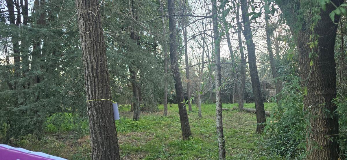 Foto de Terreno en Venta 497m2 – Zona Centro, Villa General Belgrano, imagen 3