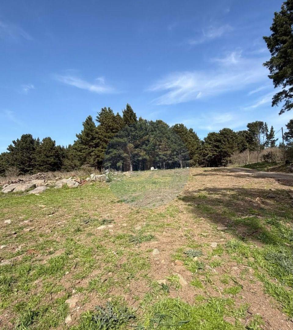 Foto de Últimos dos lotes disponibles en el medio de la Sierra, zona Don Bosco., imagen 3