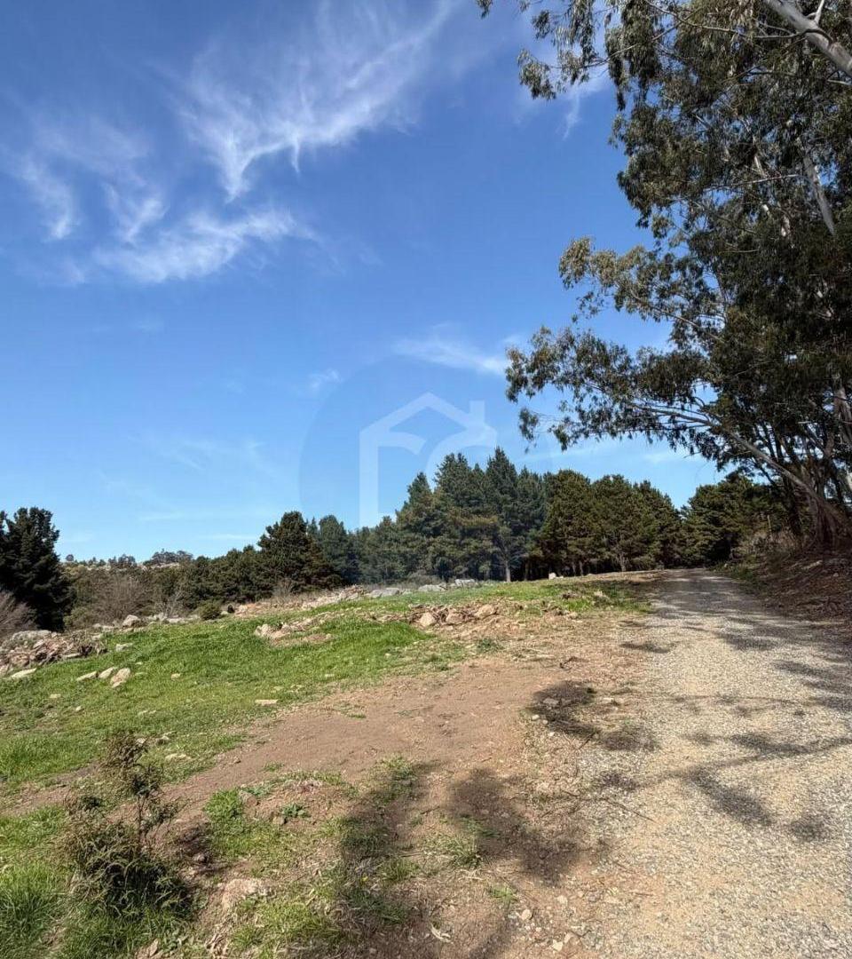 Foto de Últimos dos lotes disponibles en el medio de la Sierra, zona Don Bosco., imagen 2