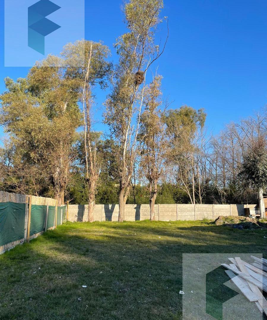 Foto de REVENTA DE LOTE EN PINOS I - DEL VISO, imagen 3