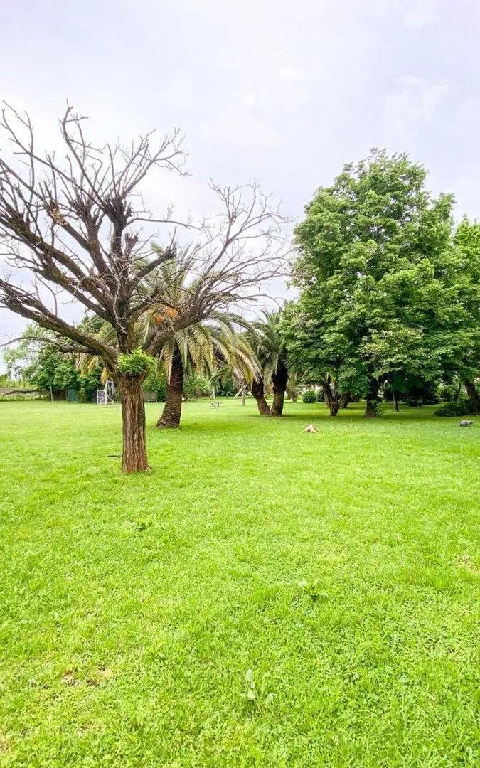 VENTA DEPTO 3 AMB LONGCHAMPS APTO CRED 3