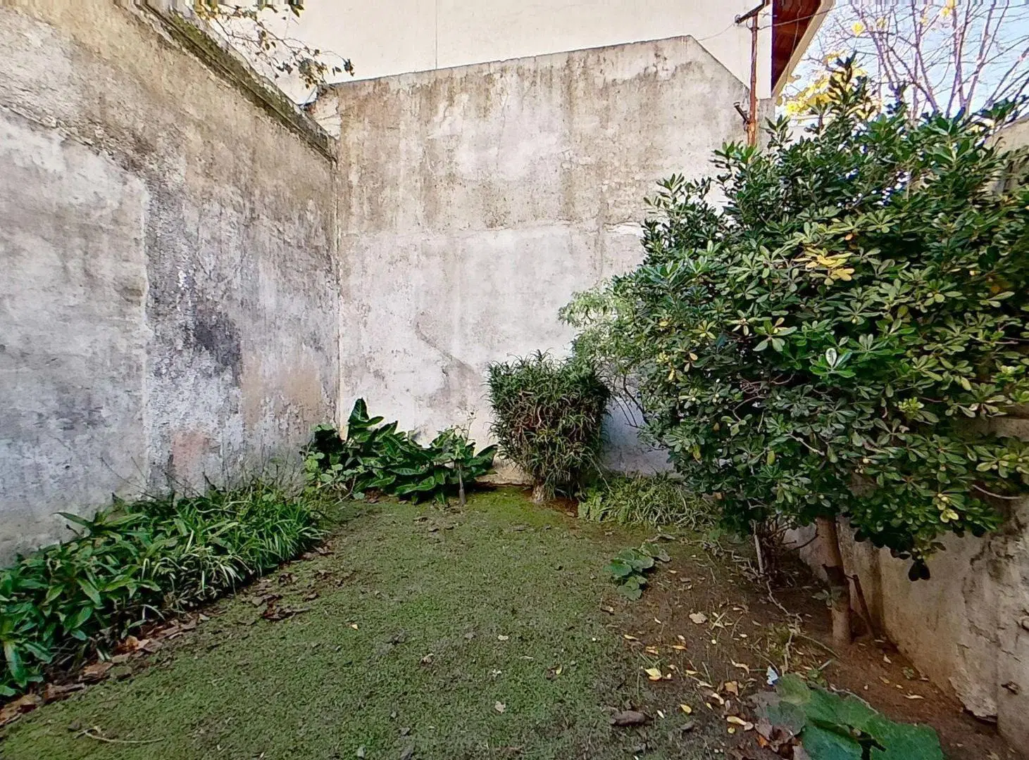 VENTA Casa 3 ambientes Sarandí con patio, lavadero 4
