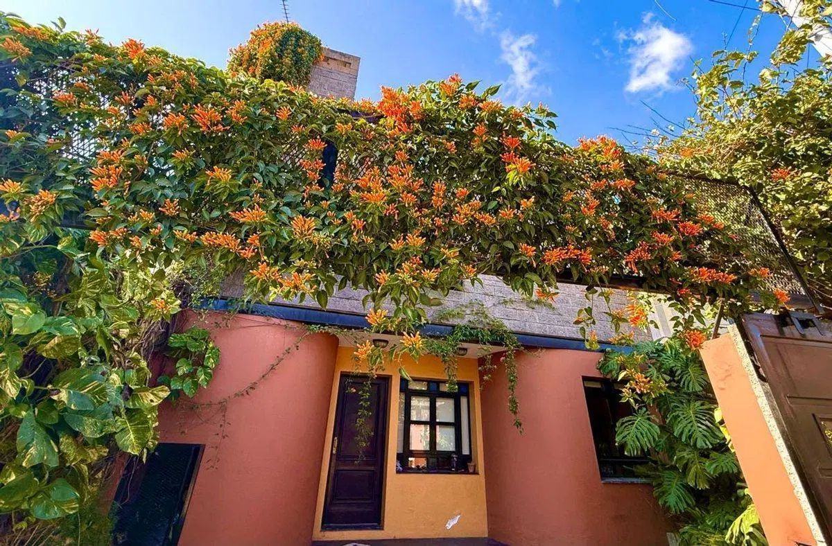 VENTA CASA 5 AMB EN QUINTA GALLI AVELLANEDA 2