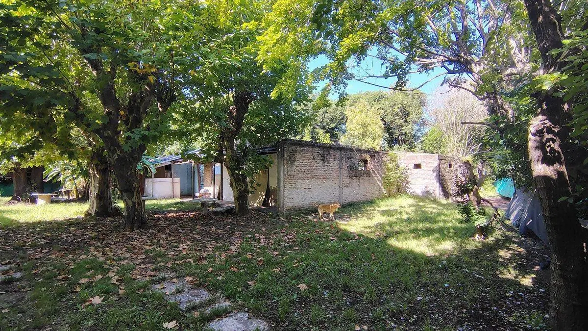 AMPLIO LOTE DE 1900 m2 EN VENTA, SOURIGUES 5