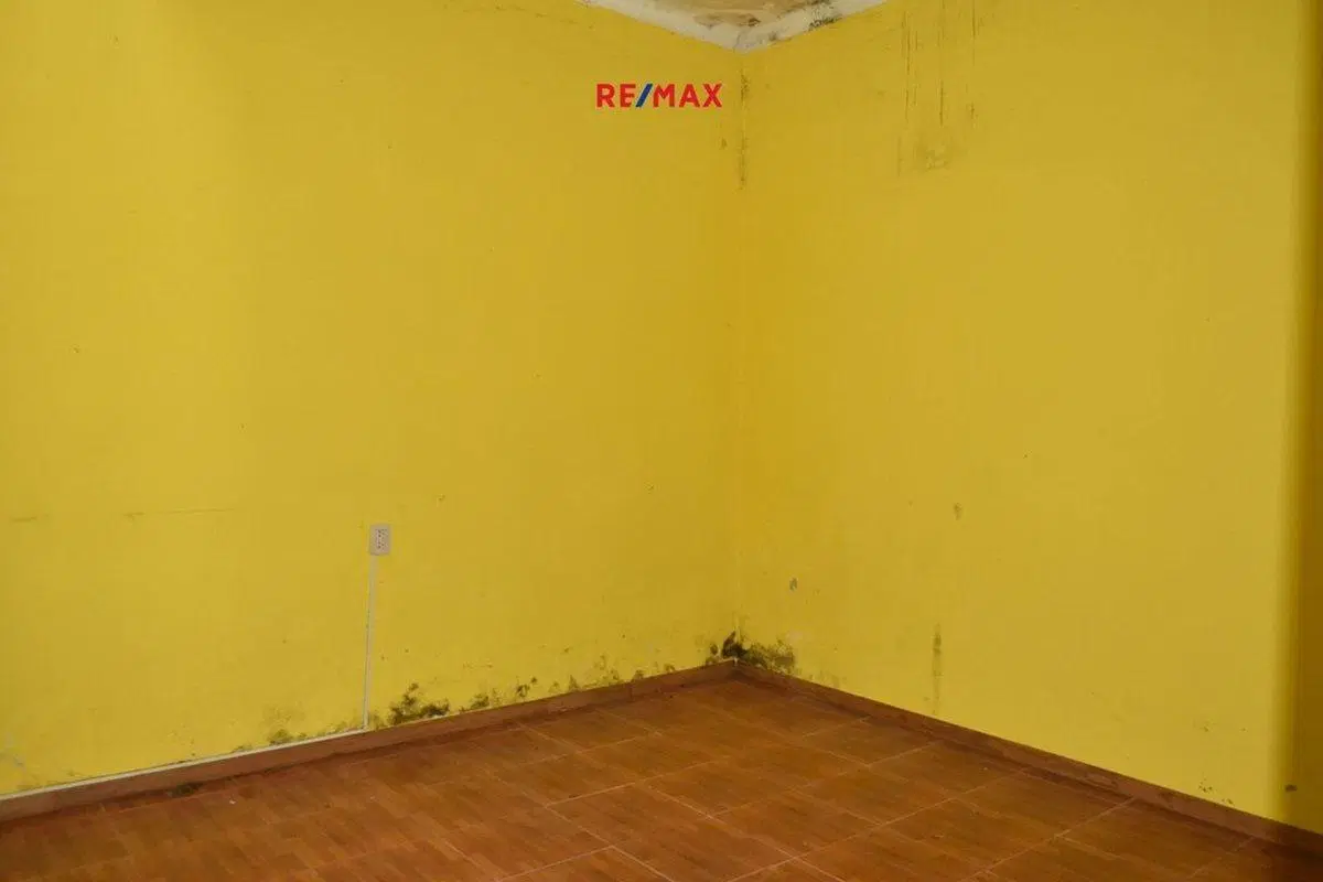 LOTE 699M2 EN VTA C 2 LOCALES+DEPTO+PARQUE+ CASA 8