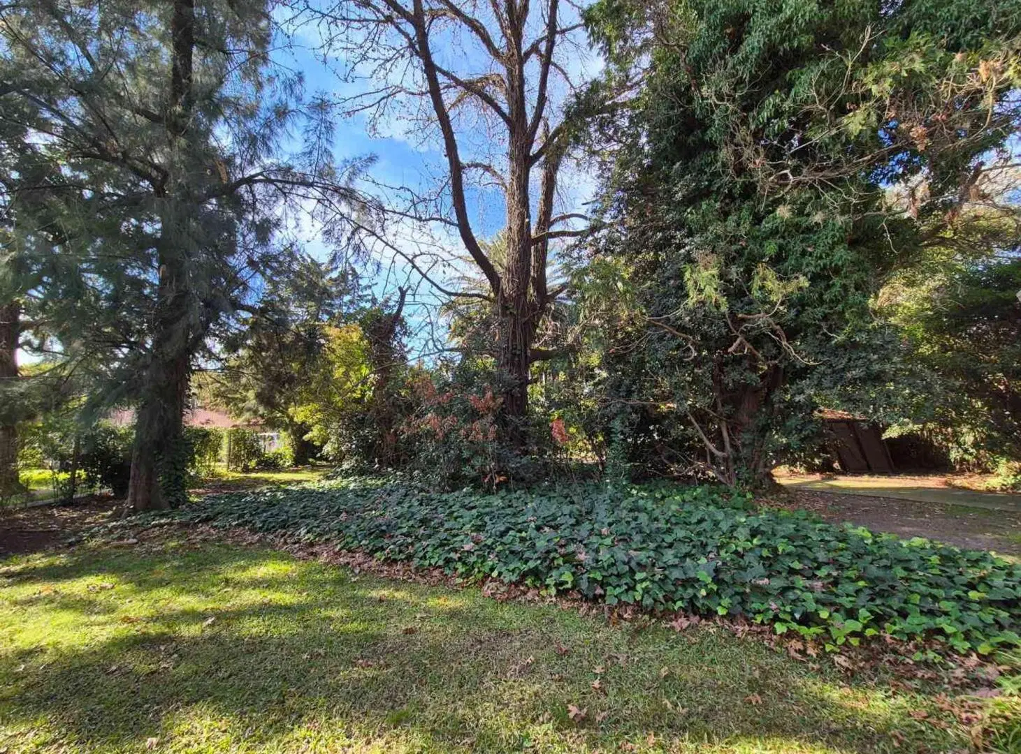 CASA 5 AMBIENTES EN VENTA EN EL TREBOL CON PILETA 3