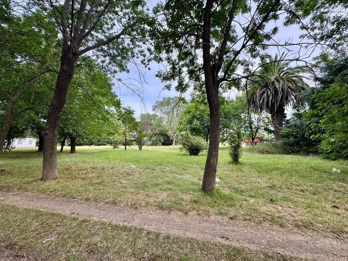 Foto de LOTE EN VENTA SAN VICENTE CON ESCRITURA, imagen 5
