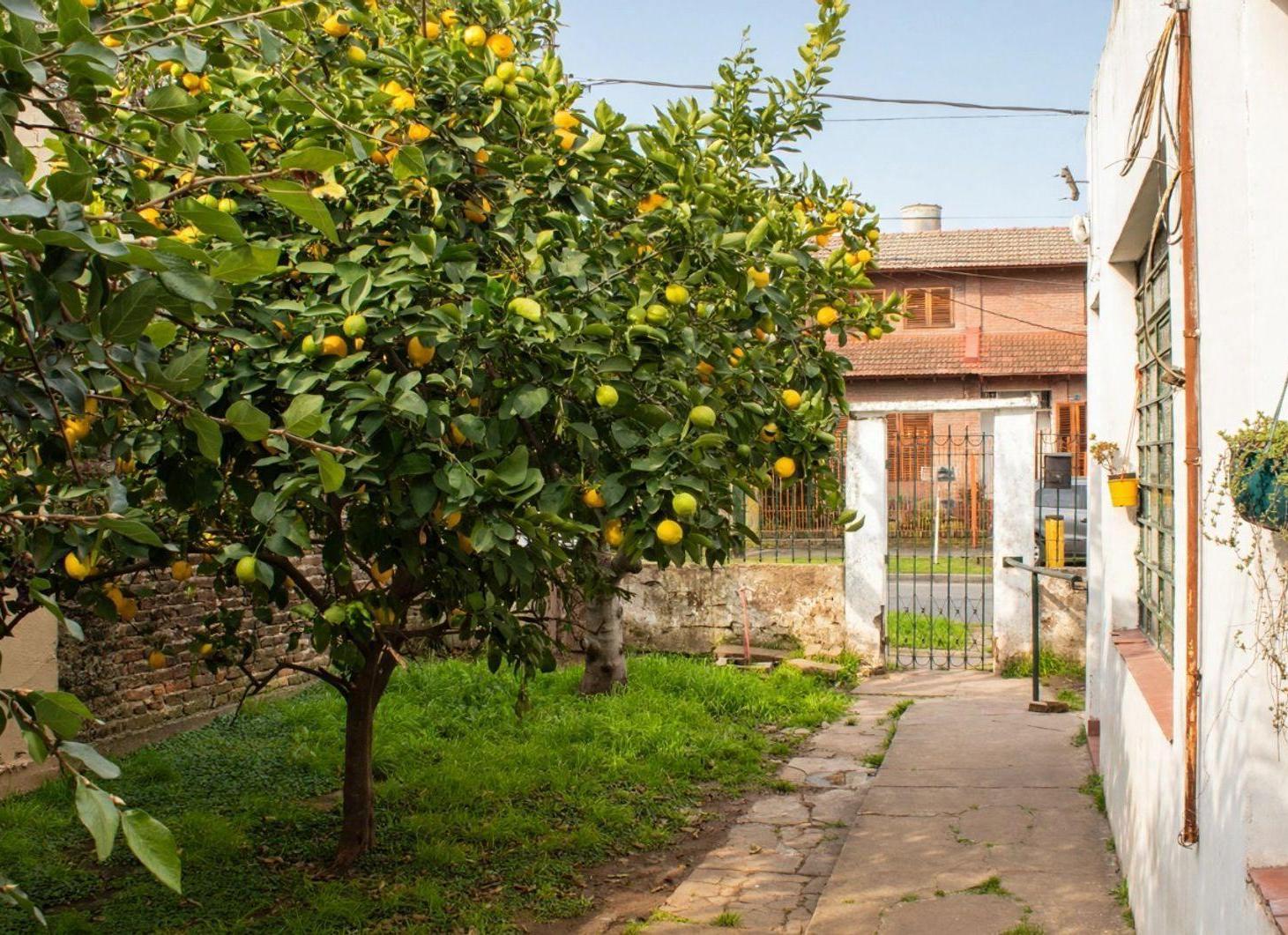 Foto de VENTA CASA + DPTO LUIS GUILLON APTO CRÉDITO, imagen 5