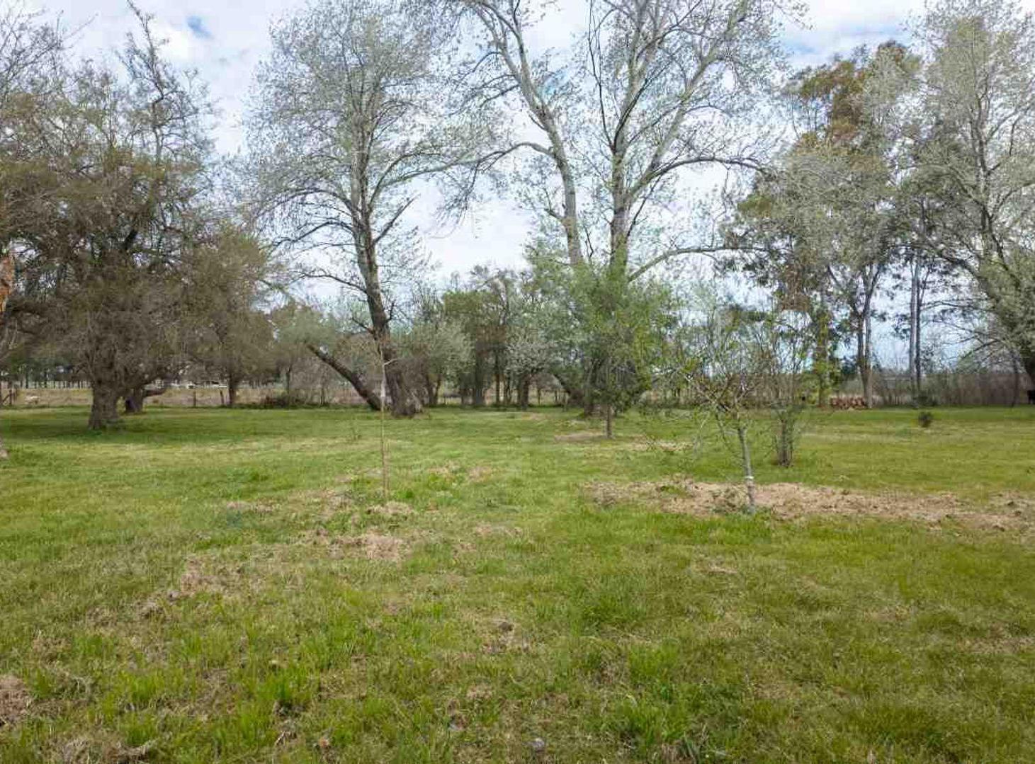 Foto de Venta de terreno 2,6 hec en San Miguel del monte, imagen 1
