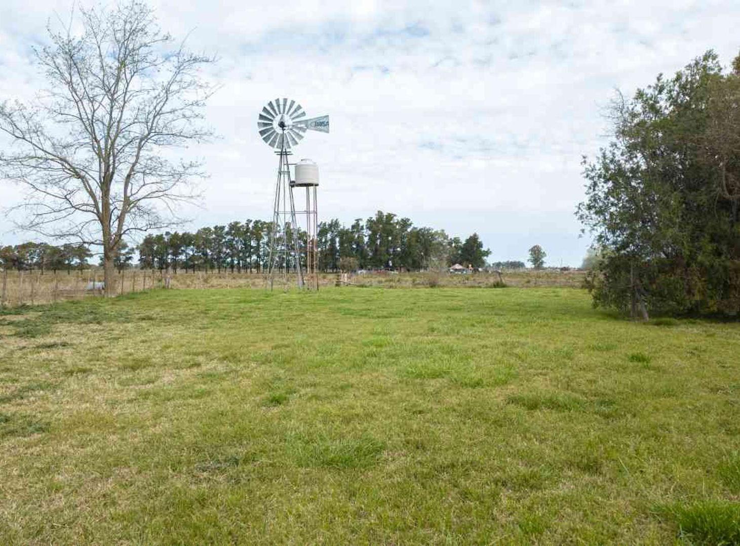 Foto de Venta de terreno 2,6 hec en San Miguel del monte, imagen 4