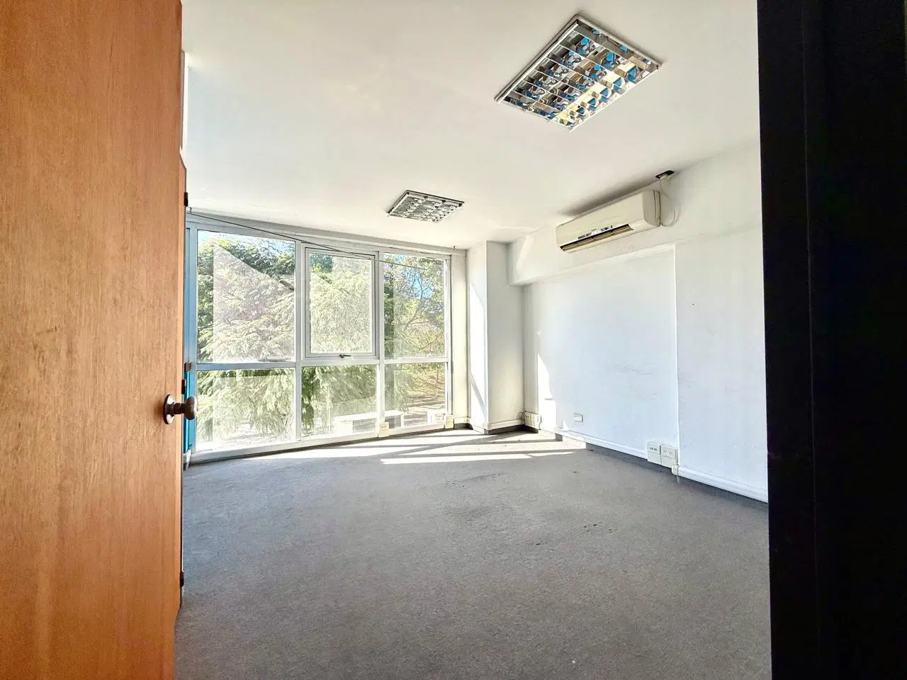 Oficina Comercial en Venta | Impecable Planta en Constitución 5