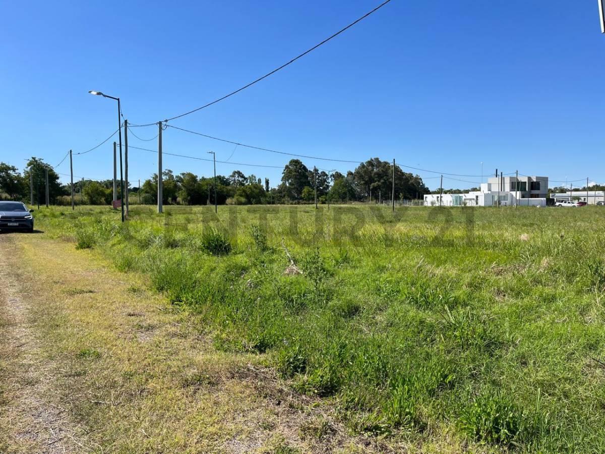 Foto de 501 y 132. EXCELENTE LOTE PROPIO EN ESQUINA CON POSIBILIDAD, imagen 2