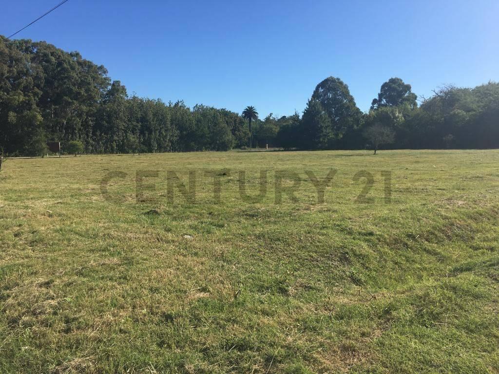 Foto de Lote en venta, imagen 4