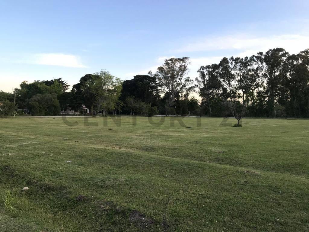 Foto de Lote en venta, imagen 3