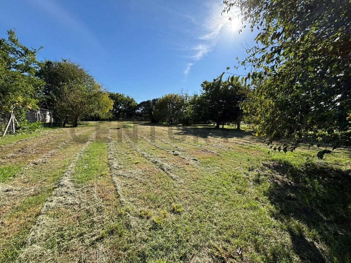 Foto de Lote en venta ideal PARA EMPRENDIMIENTO COMERCIAL, imagen 5