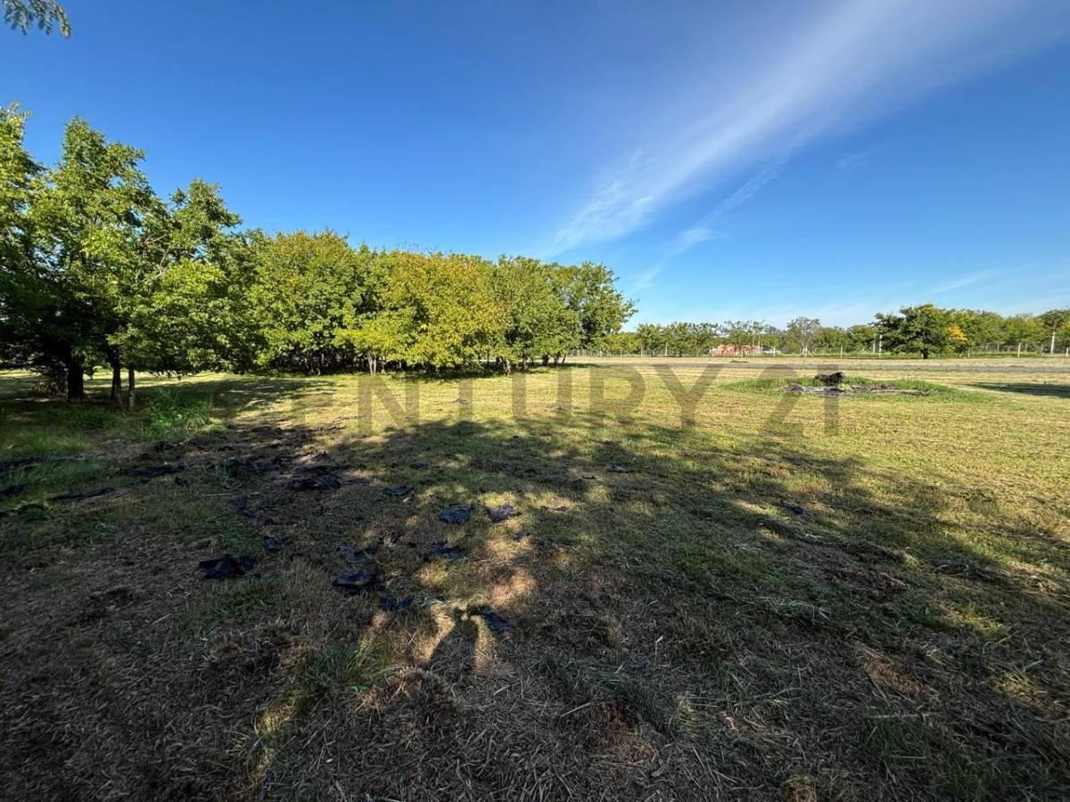 Foto de Lote en venta ideal PARA EMPRENDIMIENTO COMERCIAL, imagen 1