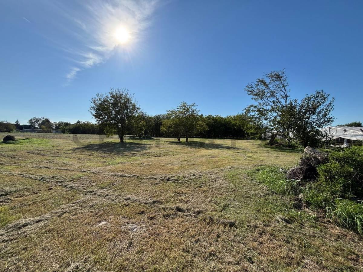 Foto de Lote en venta ideal PARA EMPRENDIMIENTO COMERCIAL, imagen 4
