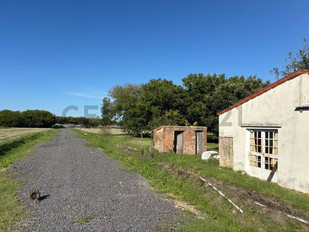Foto de Lote en venta ideal PARA EMPRENDIMIENTO COMERCIAL, imagen 3