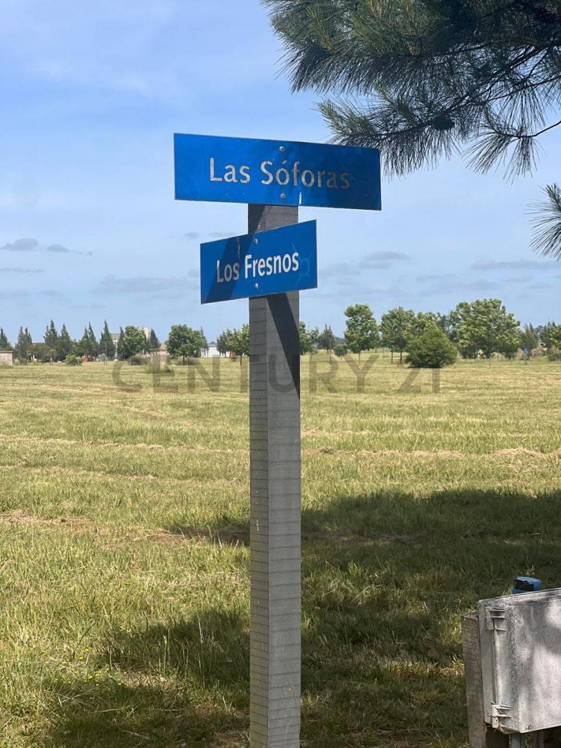 Foto de Lote en venta, imagen 2