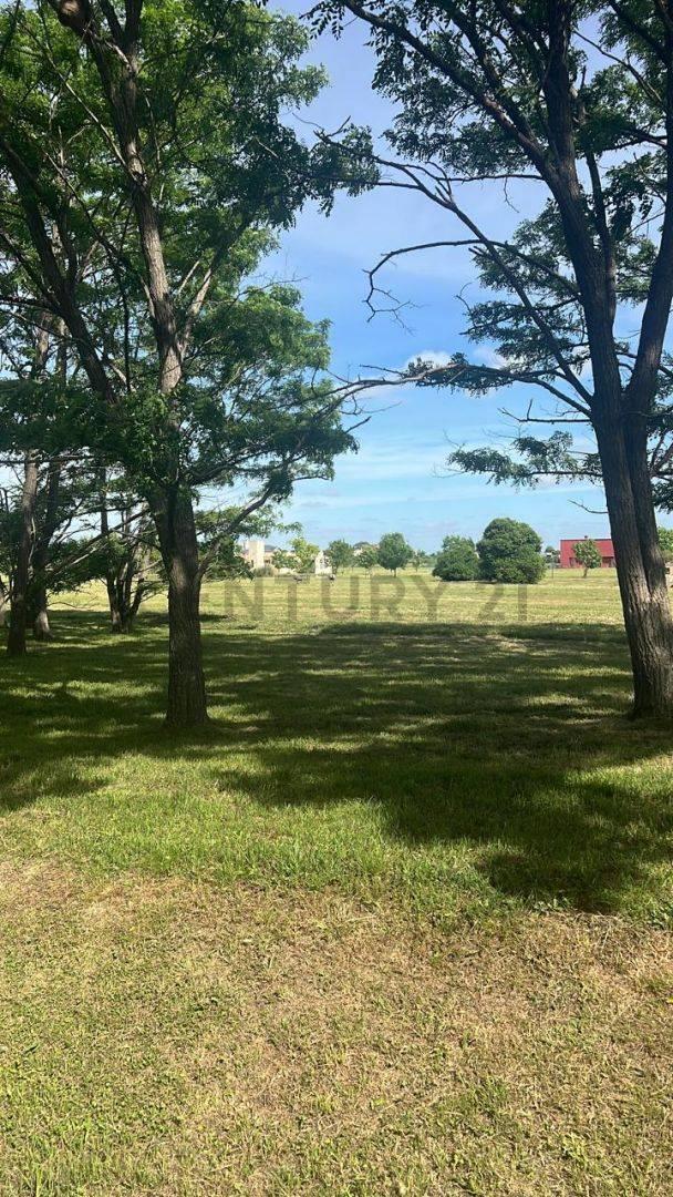 Foto de Lote en venta, imagen 3