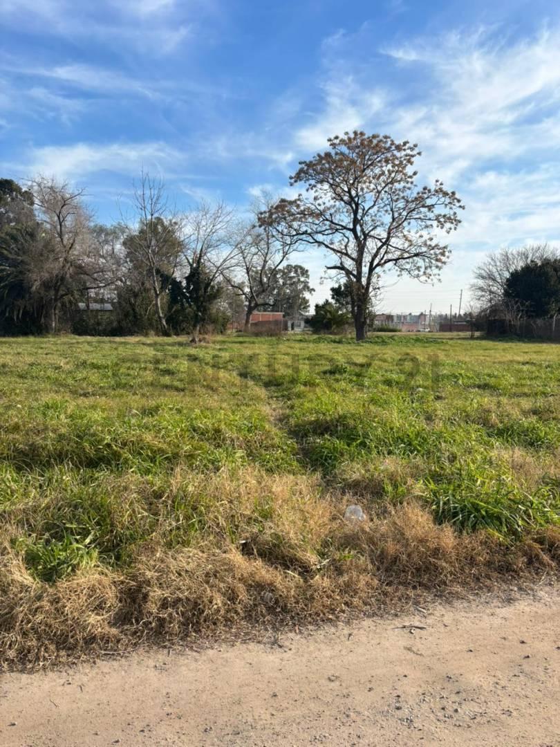Foto de VENTA DE LOTE, imagen 4