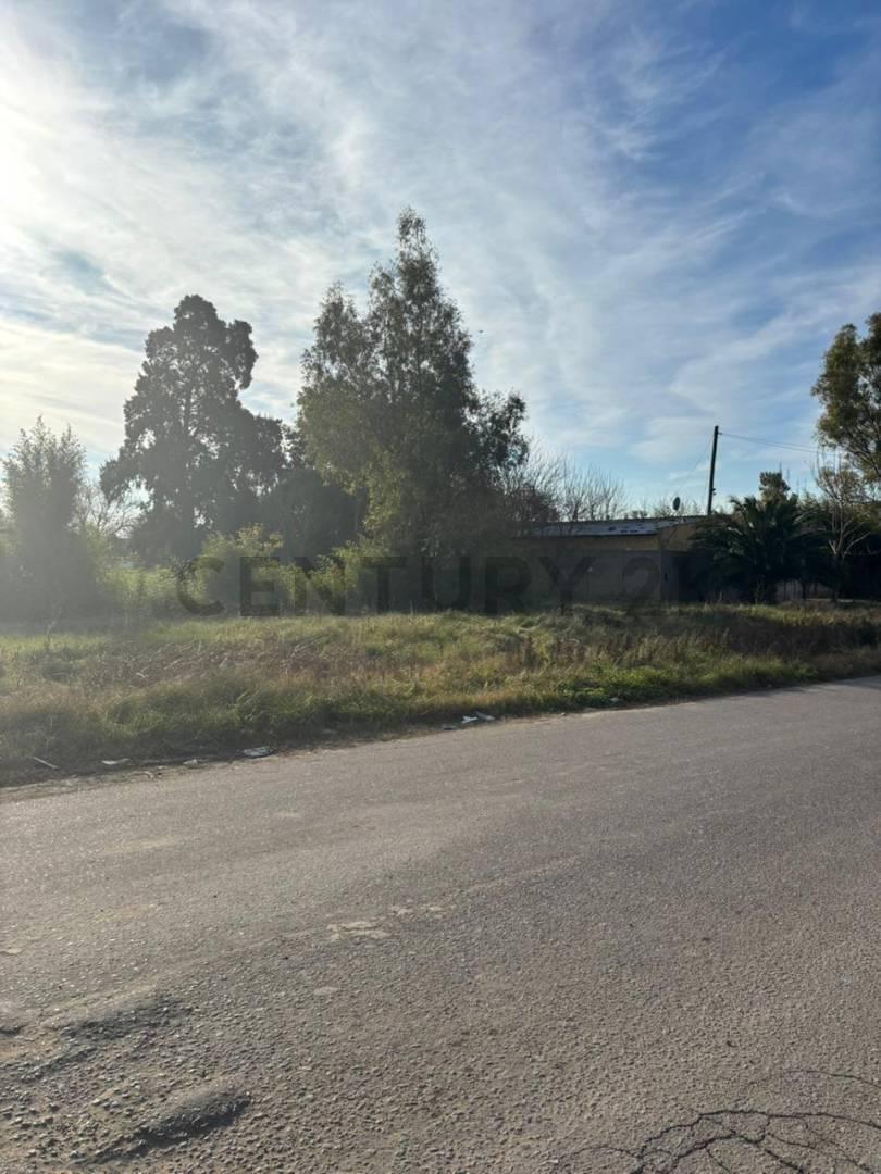 Foto de VENTA DE LOTE, LA PLATA, imagen 5