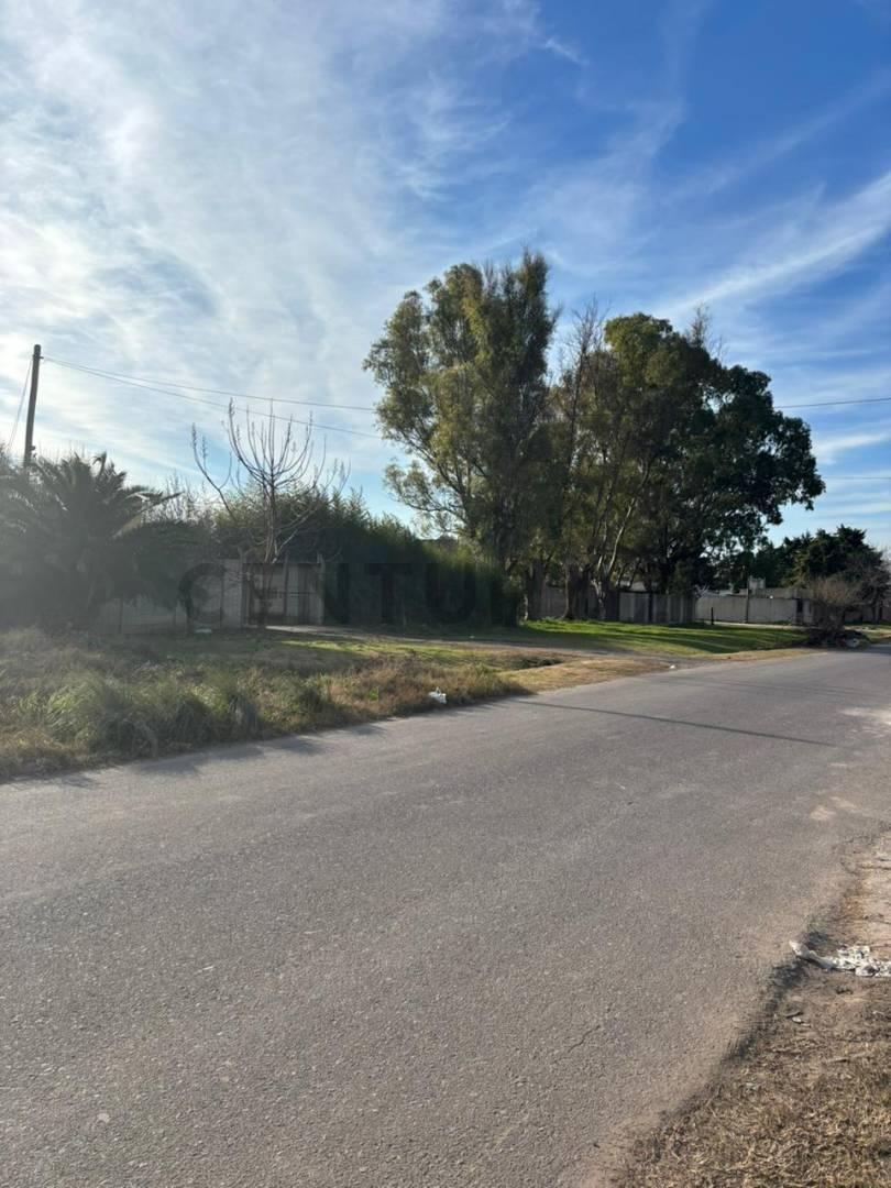 Foto de VENTA DE LOTE, LA PLATA, imagen 3