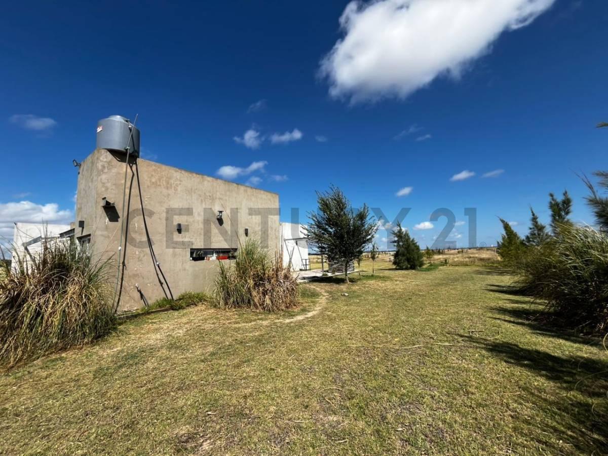 Foto de CASA A LA VENTA EN BERISSO. BARRIO LAS MARGARITAS, imagen 4