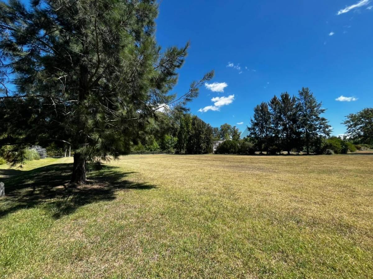 Foto de Venta de lote en Campos de Roca II Lote N°288, imagen 2