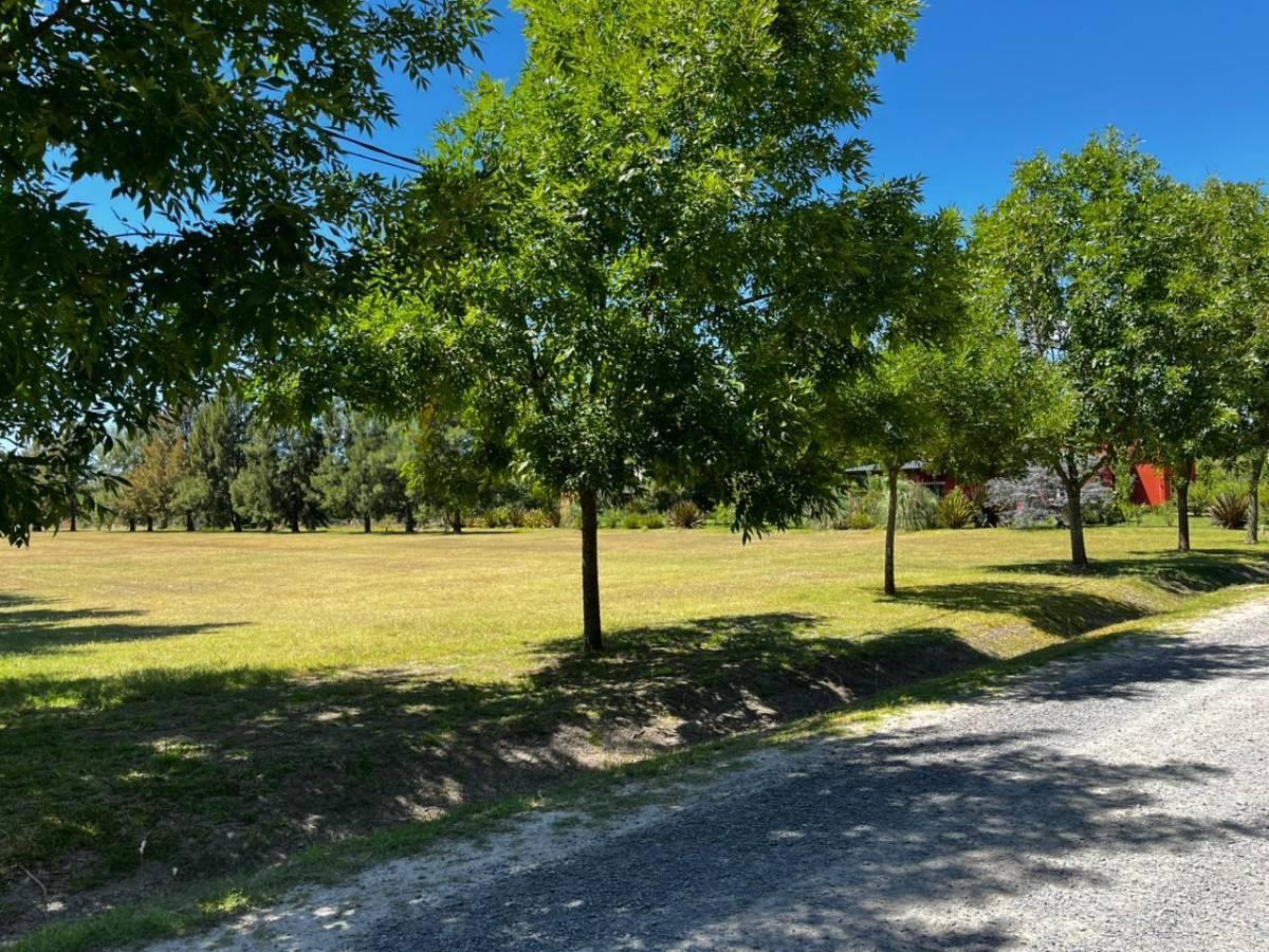 Foto de Venta de lote en Campos de Roca II Lote N°288, imagen 5