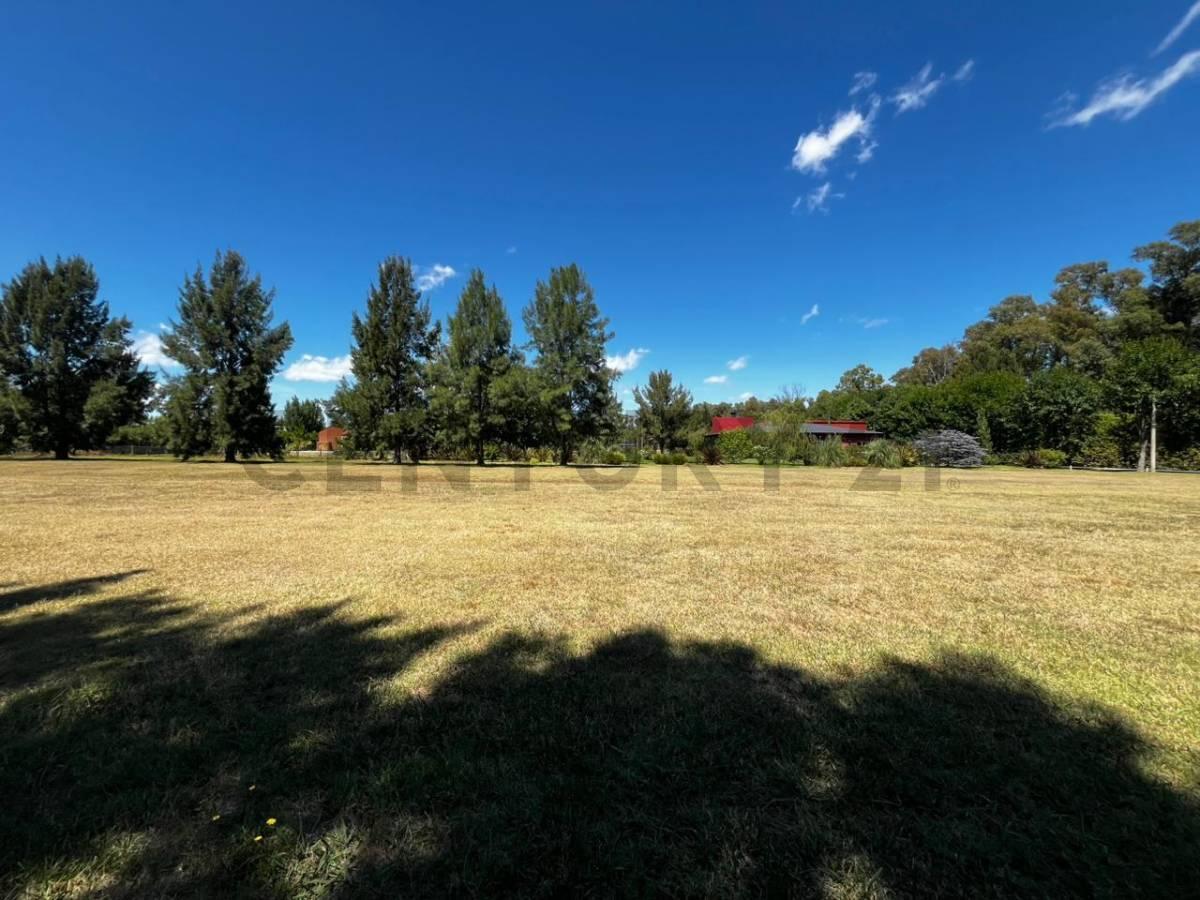 Foto de Venta de lote en Campos de Roca II Lote N°288, imagen 4