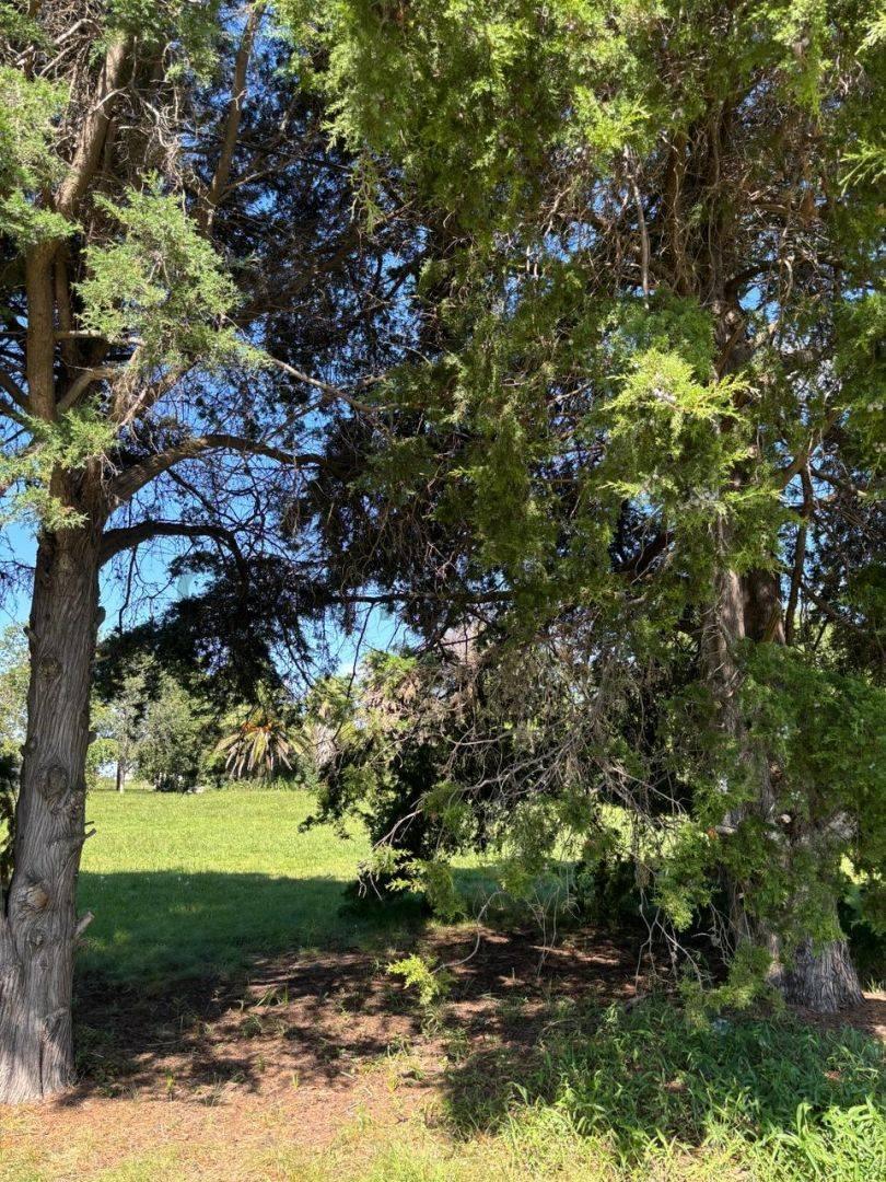 Foto de Venta de Lotes en Gorina, La Plata, Quintas de Marquez, imagen 4