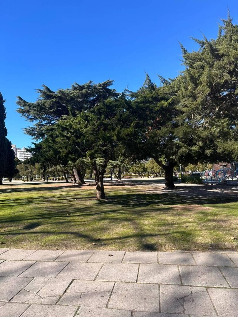 Foto de MONOAMBIENTE EN VENTA FRENTE A PLAZA MORENO, imagen 1