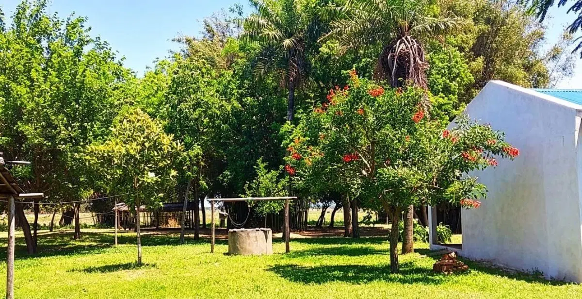 Se arrenda Campo en San Miguel Corrientes 3