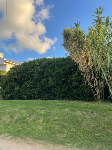 Lote Santa Clara del Mar a 50 m. del Mar 4