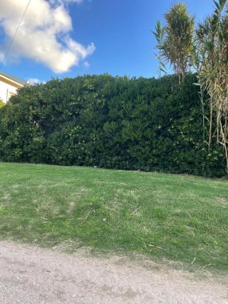Lote Santa Clara del Mar a 50 m. del Mar 2