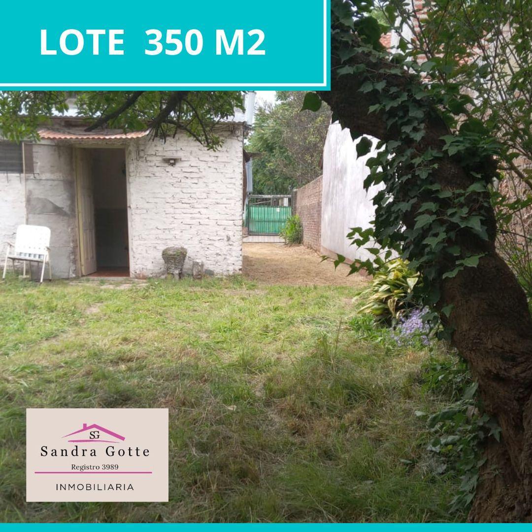 En Venta. Casa a Reciclar de 3 Ambientes Sobre Lote de 350 m². Mar del Plata 3
