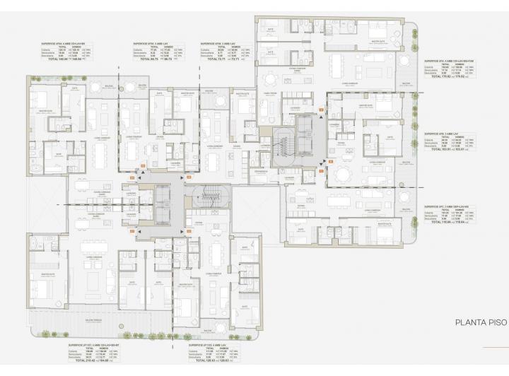 Plano 6