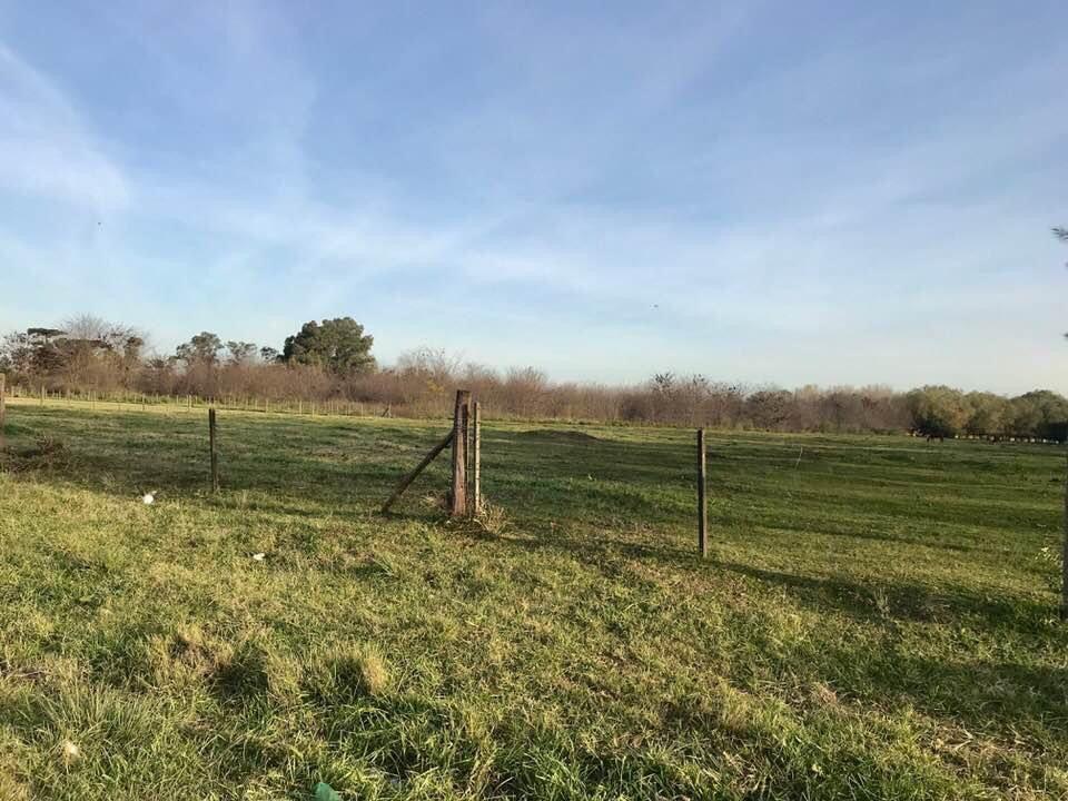 Fracción de 1 Ha en Excelente Ubicación en Cañuelas. 4
