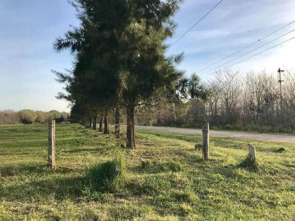Fracción de 1 Ha en Excelente Ubicación en Cañuelas. 3