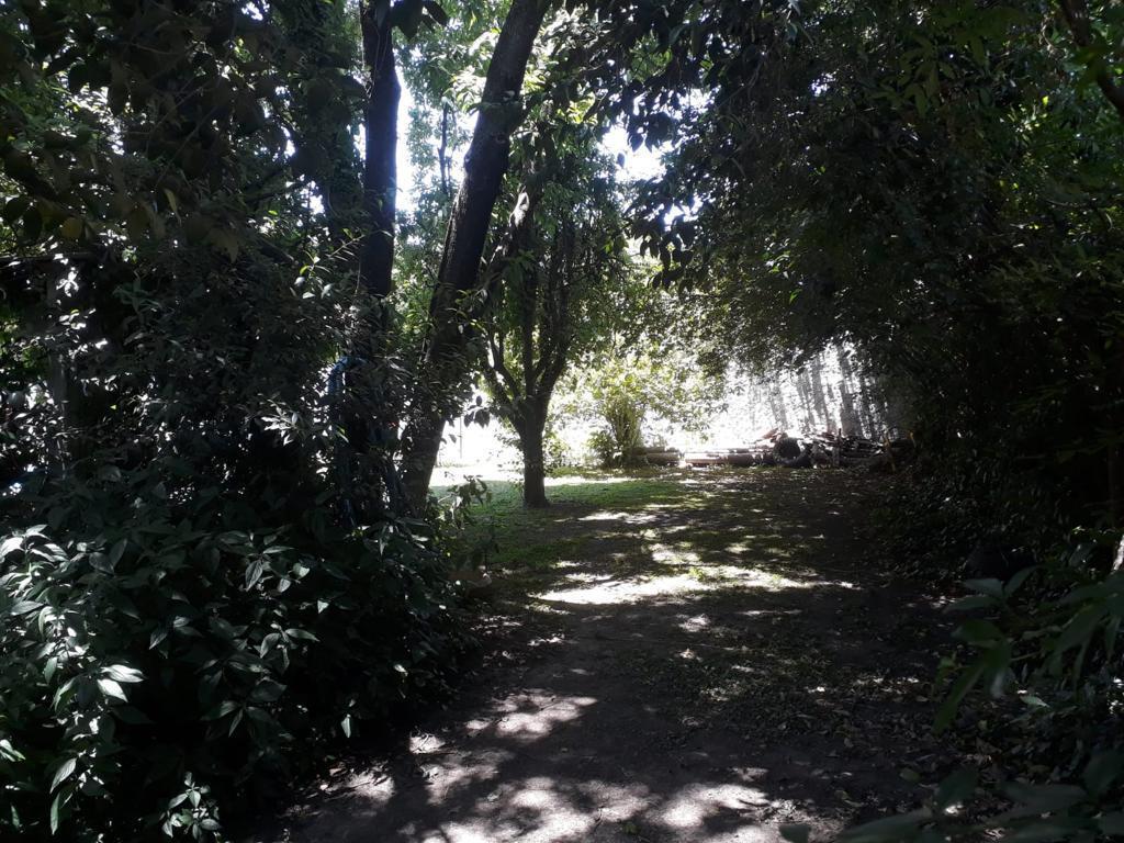 Cabaña Sobre Gran Terreno en Calle Azcuénaga 1536, Olavarría E Hipólito Irigoyen, Cañuelas 4